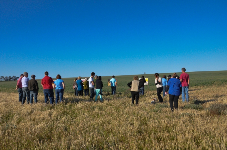 Image: Belinda Eckermann Participants discussing Genetic Signs during Crop Walk 2012